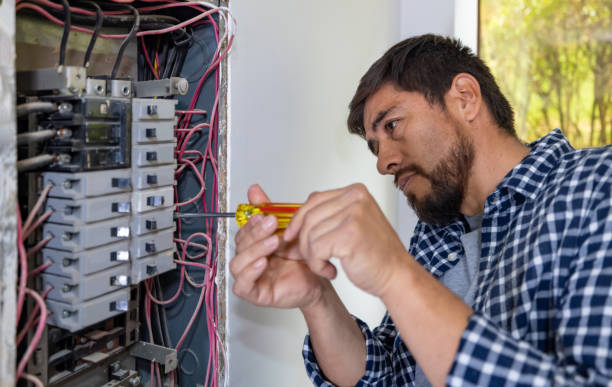 Best Electrical Panel Upgrades  in Wliamsvle, IL